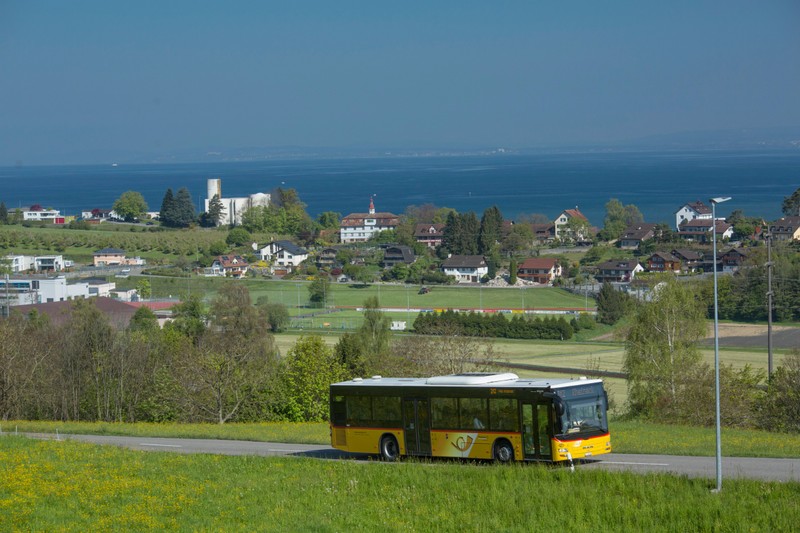 CS_489121.jpg
