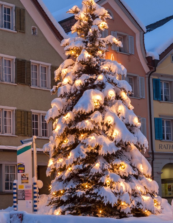 Weihnachtsbeleuchtung.jpg