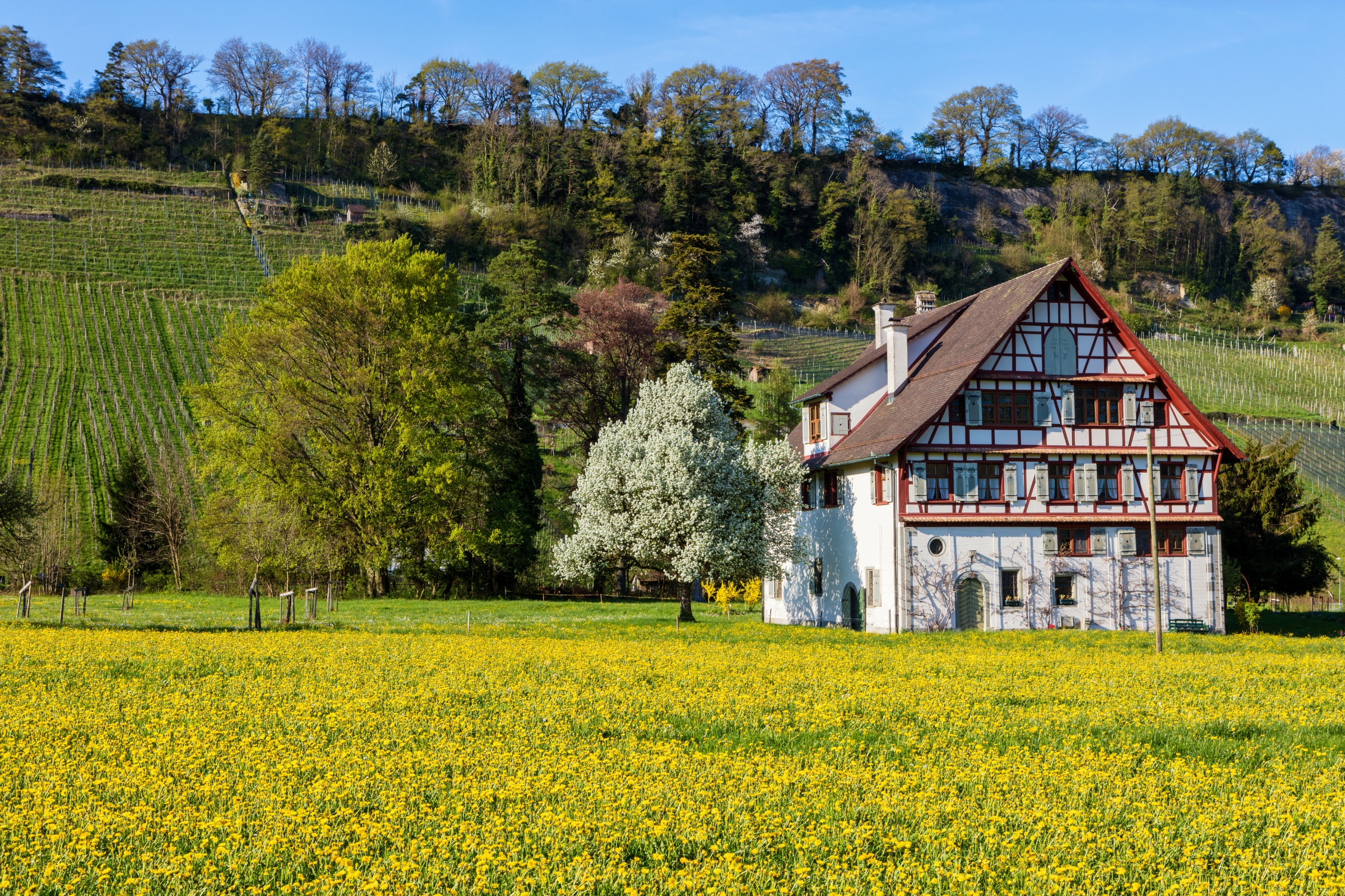 header_Trüeterhof.jpg