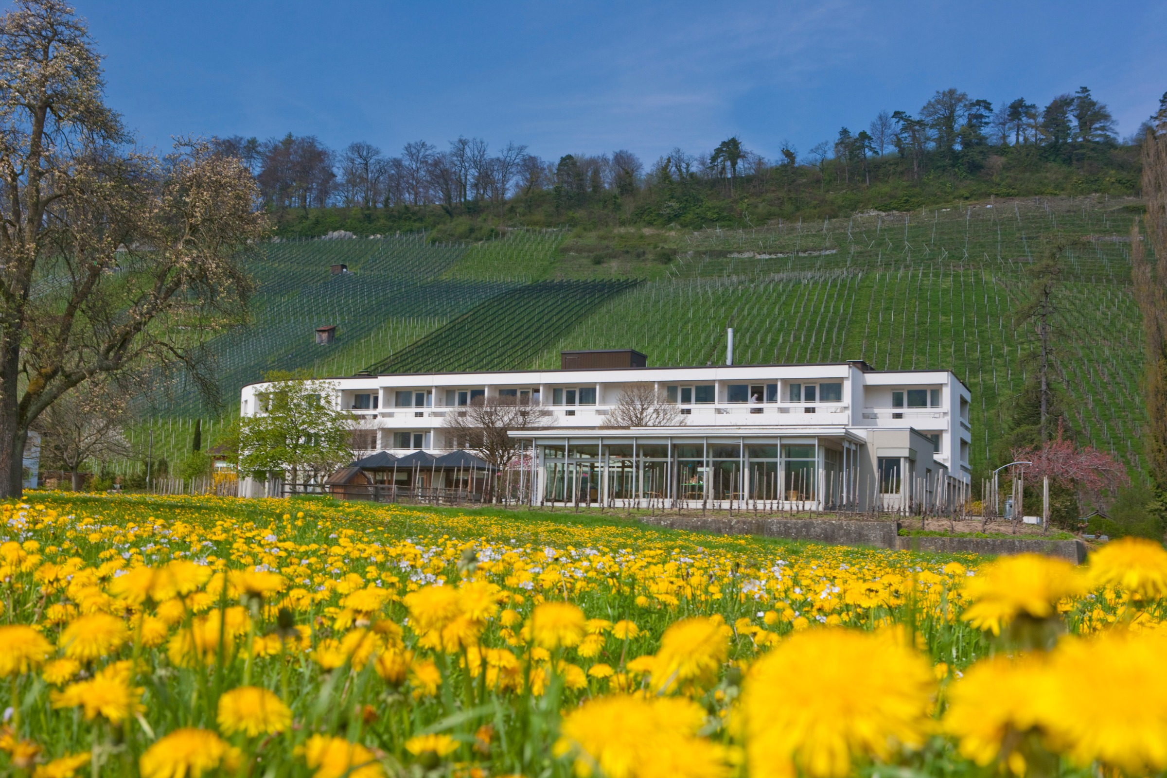 Trüeterhof.jpg