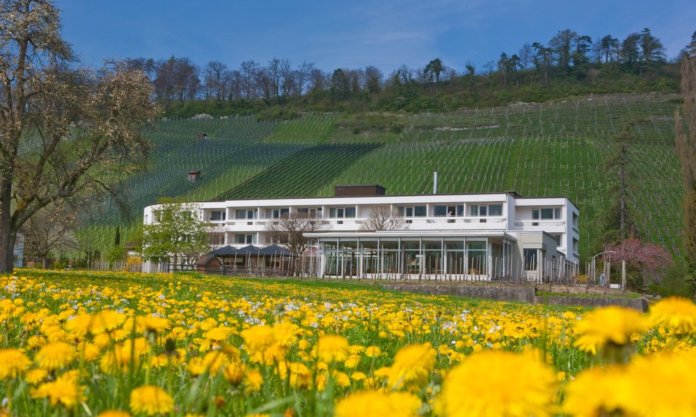 Trüeterhof.jpg